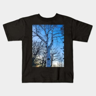 White Birch Tree Kids T-Shirt